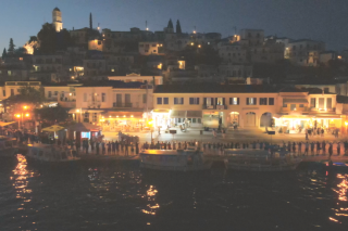 anthropini alysida poros